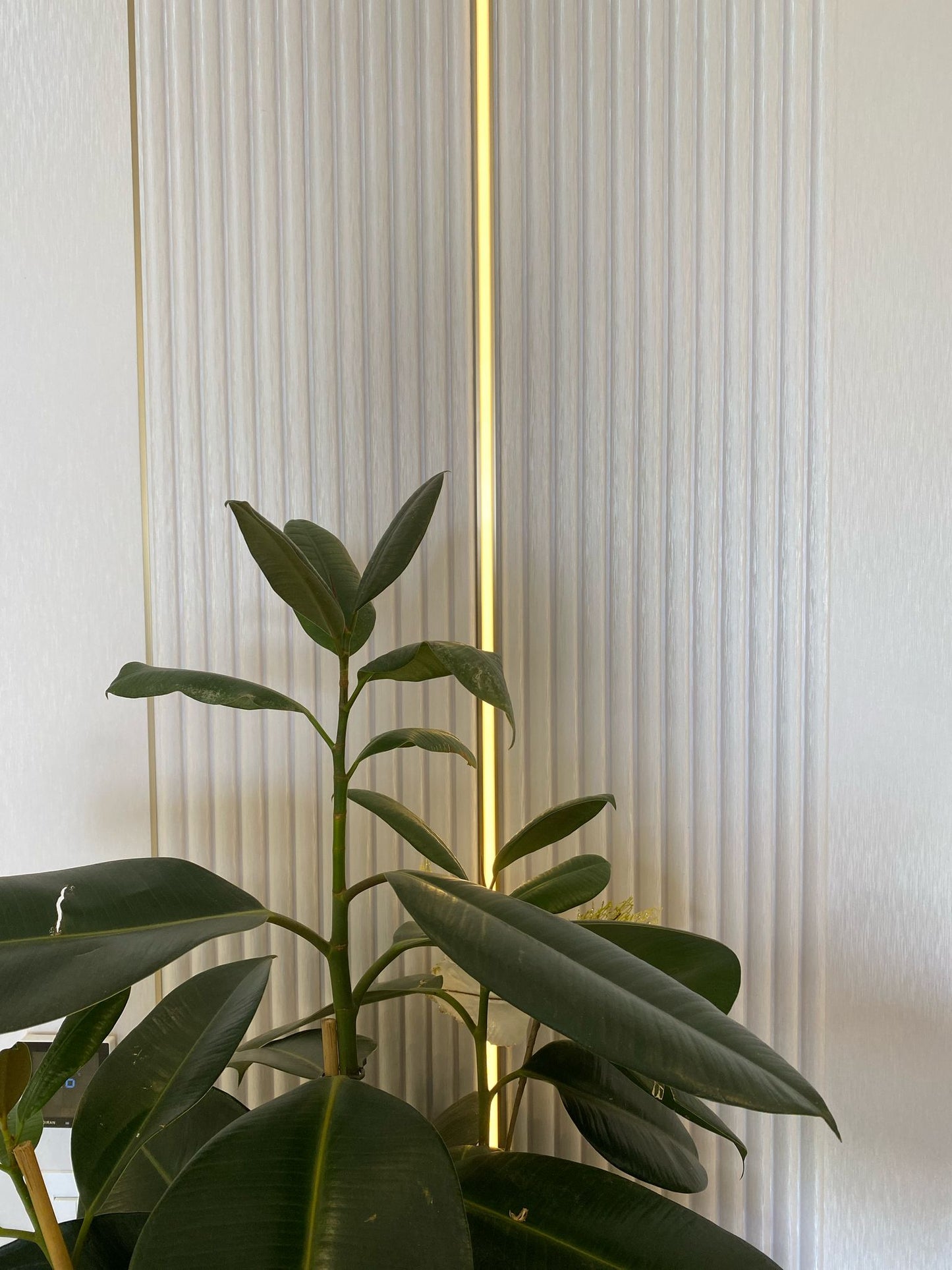 P143 סרגל דקורטיבי גלי 280×15 ס"מ – גוון פנינה