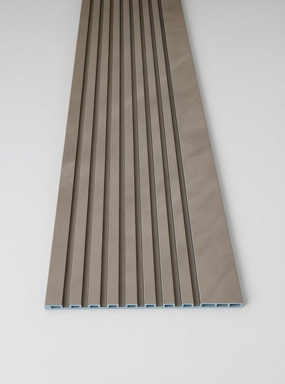 סרגל דגם P202 | 290×23×1.2 ס״מ